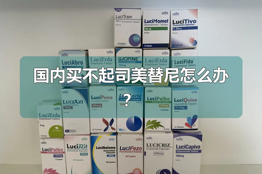 国内买不起司美替尼怎么办？